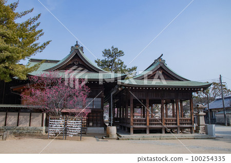 以梅林聞名的兵庫縣明石市禦栗穀神社正殿 以梅林聞名的兵庫縣明石市禦栗穀神社正殿 100254335