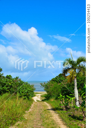 South island Taketomi island 100254413