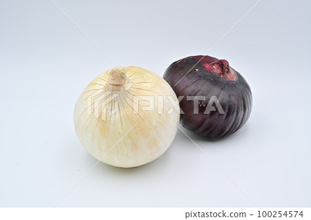 蔥 100254574