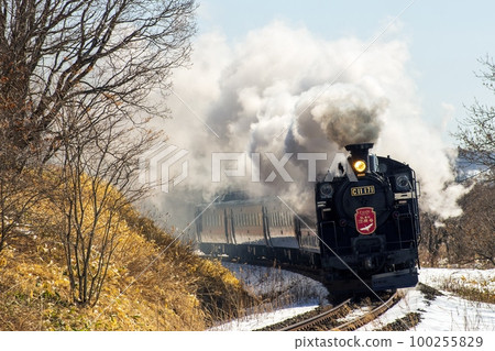 Steam locomotive Fuyu no Shitsugen Goes through the Kushiro Marsh 100255829