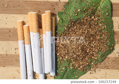 raw tobacco leaf with cigarette on farm for... - Stock Photo [100257249]