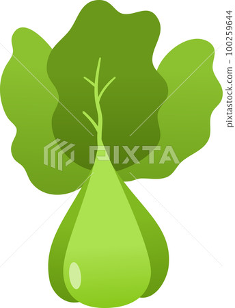 Lettuce illustration 100259644