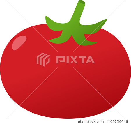 Tomato illustration 100259646