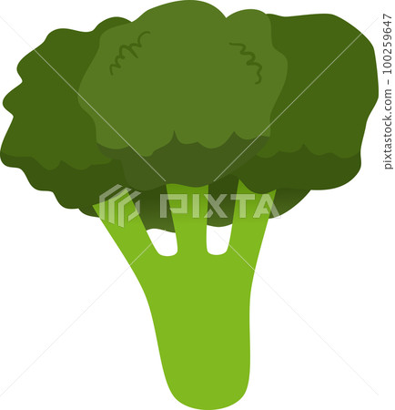 Broccoli illustration 100259647