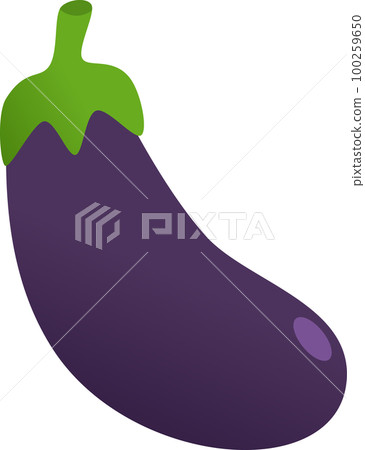 Eggplant illustration 100259650