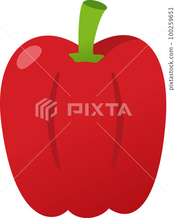 Bell pepper illustration 100259651