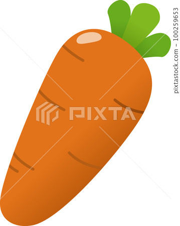 Carrot illustration 100259653