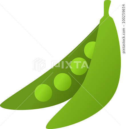 Green Pea illustration 100259654