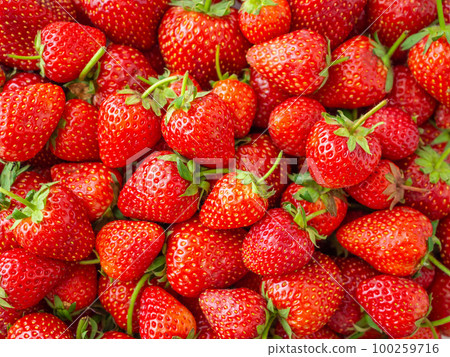 Fresh organic Strawberry fruit background Top view closeup Fresh organic Strawberry fruit background Top view closeup 100259716