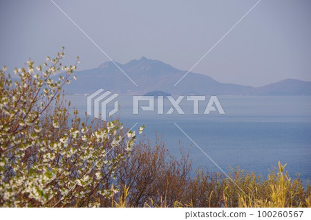 香川縣贊岐市 從大串自然公園眺望福部島和小豆島的五石山 香川縣贊岐市 從大串自然公園眺望福部島和小豆島的五石山 100260567