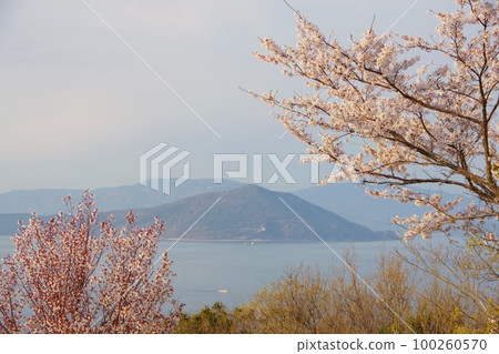 從香川縣贊岐市大串自然公園看到的小豆島白濱山 從香川縣贊岐市大串自然公園看到的小豆島白濱山 100260570