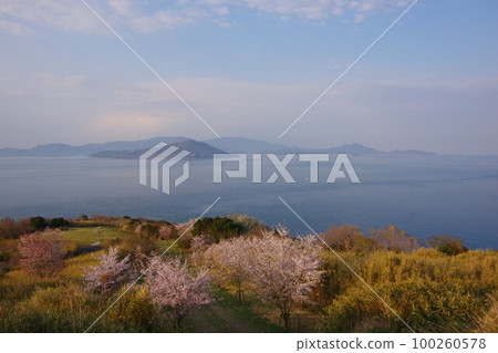 香川縣贊岐市 從大串自然公園眺望小豆島 100260578