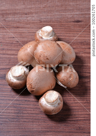 Food image, mushrooms, brown mushrooms. Uncooked uncooked. Food image, mushrooms, brown mushrooms. Uncooked uncooked. 100261705