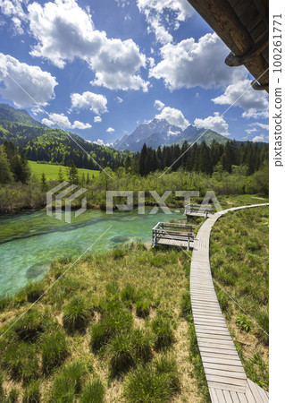 Spring landscape in Zelenci, Slovenia 100261771