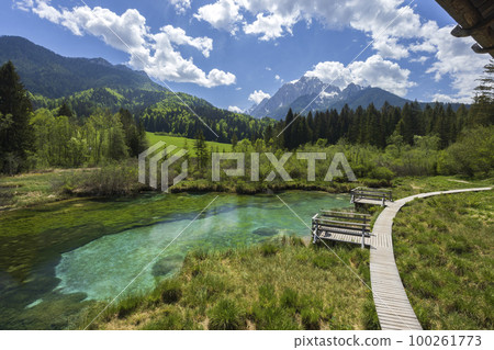 Spring landscape in Zelenci, Slovenia 100261773