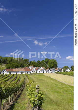 Traditional wine cellars with vineyard in Galgenberg near Wildendurnbach, Lower Austria, Austria Traditional wine cellars with vineyard in Galgenberg near Wildendurnbach, Lower Austria, Austria 100261785