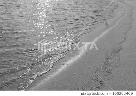 海灘和碼頭 100263469