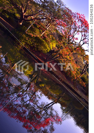 秋葉倒映在水面上 100264836