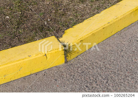 Yellow curb stone border Yellow curb stone border 100265204