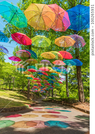 Gunma Prefecture Kanra Town Kanra DE Umbrella Sky 100265931