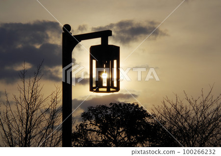 A composition in which the buds of cherry blossoms have begun to swell, and the sunset hazy in thin clouds is superimposed on the streetlights on the sidewalk. A composition in which the buds of cherry blossoms have begun to swell, and the sunset hazy in thin clouds is superimposed on the streetlights on the sidewalk. 100266232