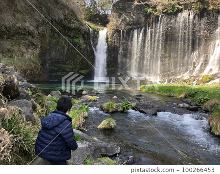 Scenery of Shiraito Falls in early spring Scenery of Shiraito Falls in early spring 100266453
