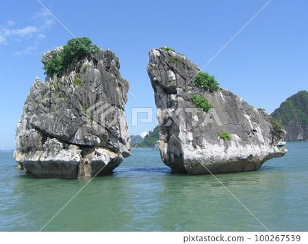 丈夫和妻子在越南下龍灣岩石 100267539