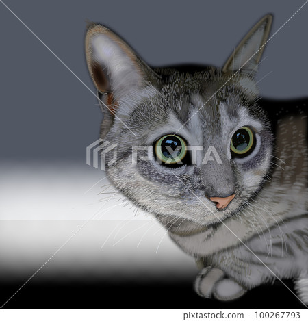 Cute cat illustration Cute cat illustration 100267793