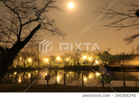 Izayoi no Oborozuki 2 100268248