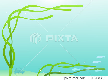 幼魚和螃蟹生活的鰻草床背景 100268305