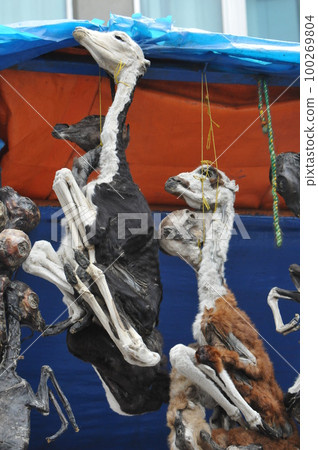 La Paz, Bolivia, Calle Linares (Witches Street), mummified llama fetus used for ceremonies La Paz, Bolivia, Calle Linares (Witches Street), mummified llama fetus used for ceremonies 100269804