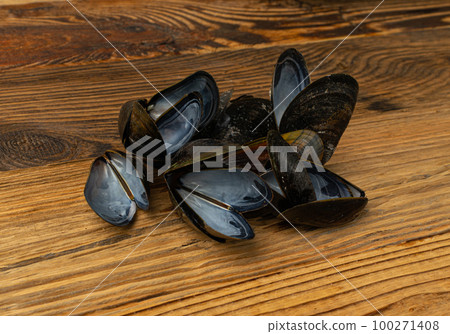 Empty Mussels Shell, Black Clams Shells, Eaten Mollusc, Shellfish, Mussel on Wood Background Top View Empty Mussels Shell, Black Clams Shells, Eaten Mollusc, Shellfish, Mussel on Wood Background Top View 100271408