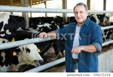 Successful male farmer in cowshed Successful male farmer in cowshed 100272228