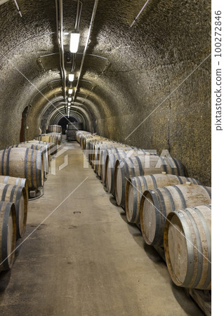 Wine cellars with barrels, traditional wine called Bikaver near Eger, Hungary 100272846