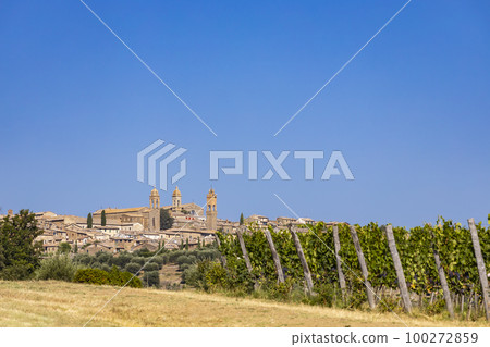 Tuscany's most famous vineyards near town Montalcino in Italy Tuscany's most famous vineyards near town Montalcino in Italy 100272859