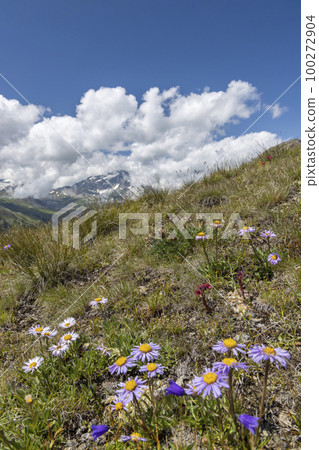Landscape near Col de l'Iseran, Savoy, France 100272904