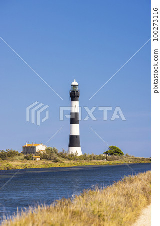lighthouse Faraman, Salin de Giraud, Provence-Alpes-Cote d'Azur, France 100273116