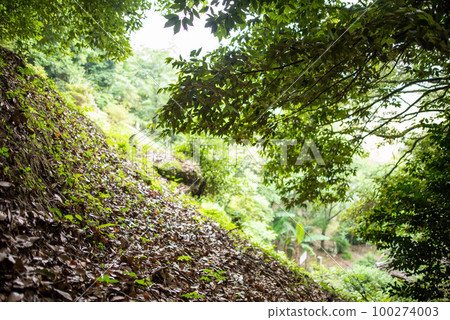 Usa City (Ajimu Town) Keisho-ji Temple Ruins Jigoku Gokuraku Usa City (Ajimu Town) Keisho-ji Temple Ruins Jigoku Gokuraku 100274003