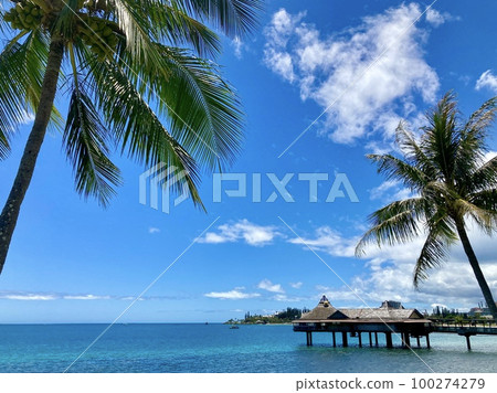 sunny beach with overwater cottages and palm trees sunny beach with overwater cottages and palm trees 100274279