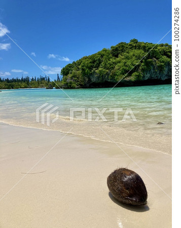 Sunny tropical beach resort beach and palm fruit Sunny tropical beach resort beach and palm fruit 100274286