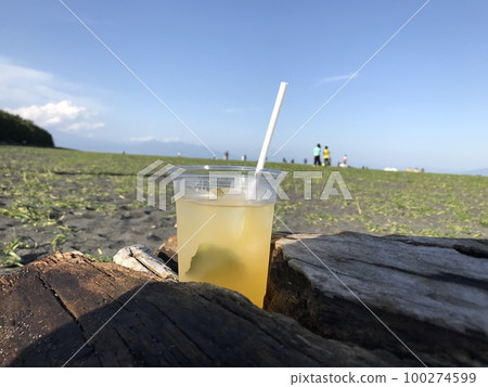 海灘野餐 海灘野餐 100274599