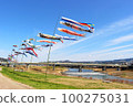 奈良縣五條市大川橋和吉野川上的鯉魚旗 100275031