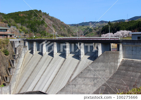春天的一木水庫 奈良縣五條市西吉野 100275666