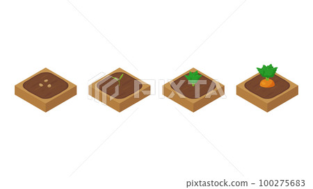 Farm game illustration_Growing carrot_Isometric Farm game illustration_Growing carrot_Isometric 100275683