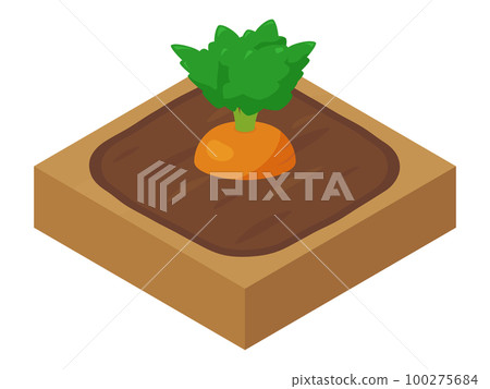 Farm game illustration_carrot_isometric 100275684