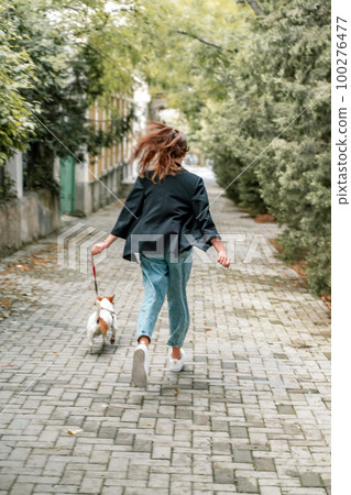 A girl and a boy are walking with a Jack Russell Terrier, walking down the street A girl and a boy are walking with a Jack Russell Terrier, walking down the street 100276477
