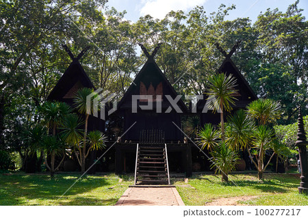 intricate details of the buildings' design and the contrast between their sharp edges and organic surroundings. 100277217