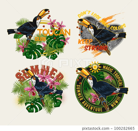 Set of labels with toucan bird, tropical foliage, orchid, text on white background. Holiday summer theme. Detailed illustration for prints, clothing, t shirt design 100282665