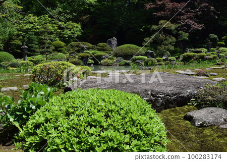 Beautiful Japanese garden Beautiful Japanese garden 100283174