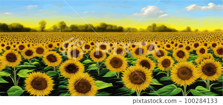 Sunflower blossom farm overlooking blue sky summer season landscape banner, cut and craft style, organic plants Sunflower blossom farm overlooking blue sky summer season landscape banner, cut and craft style, organic plants 100284133